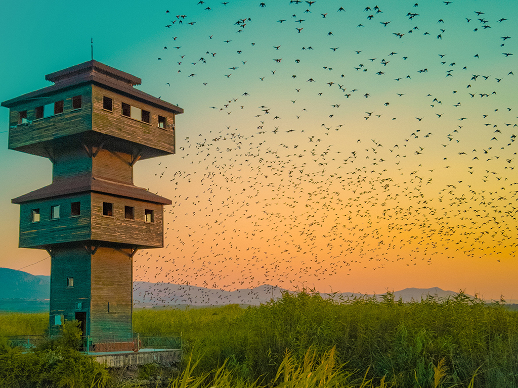 Şehir hayatından ata mirasına: Kazova Çiftliği